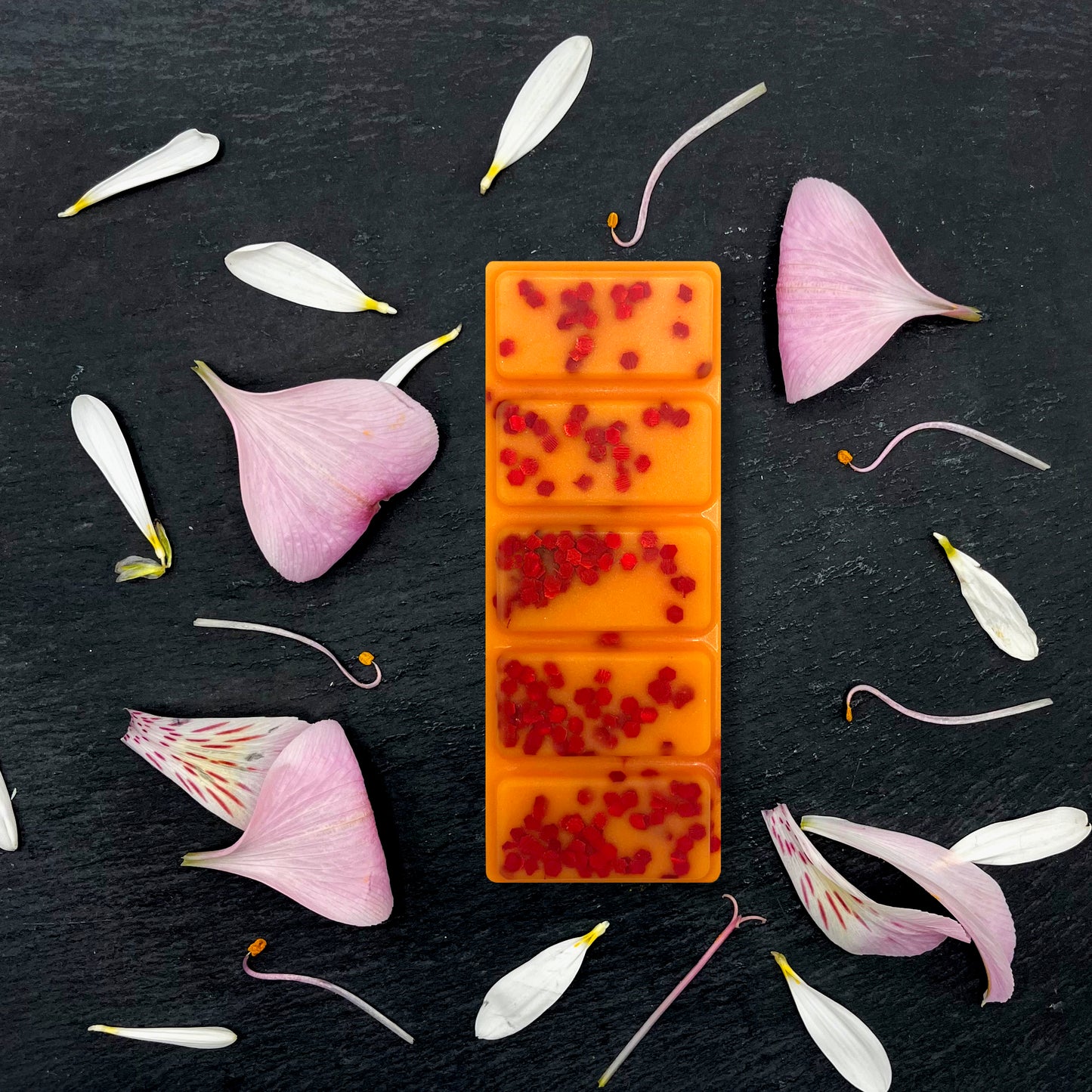 Orange and Cranberry - Wax Melt Snap Bar